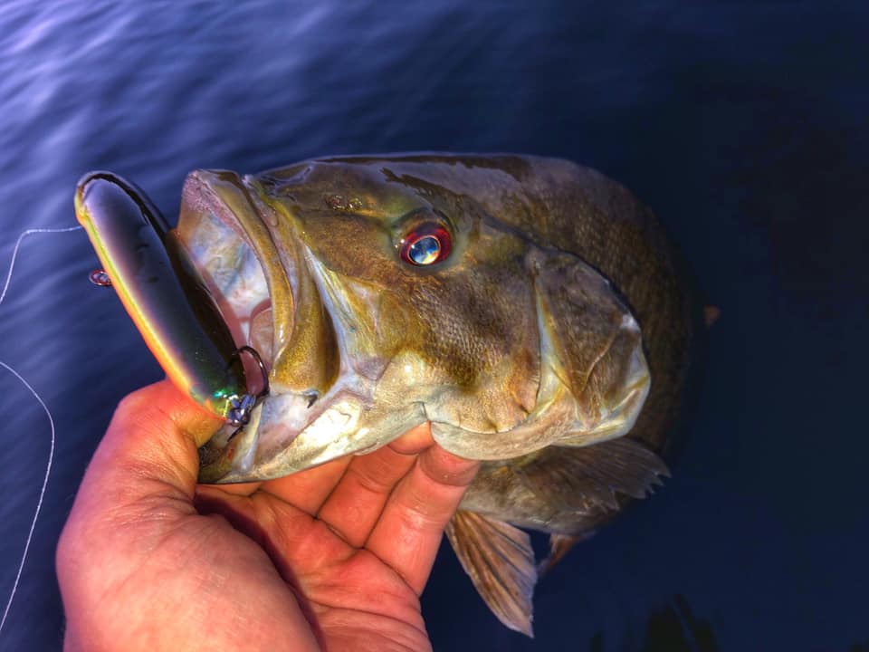 FISHING FOR BASS WITH TOPWATERS