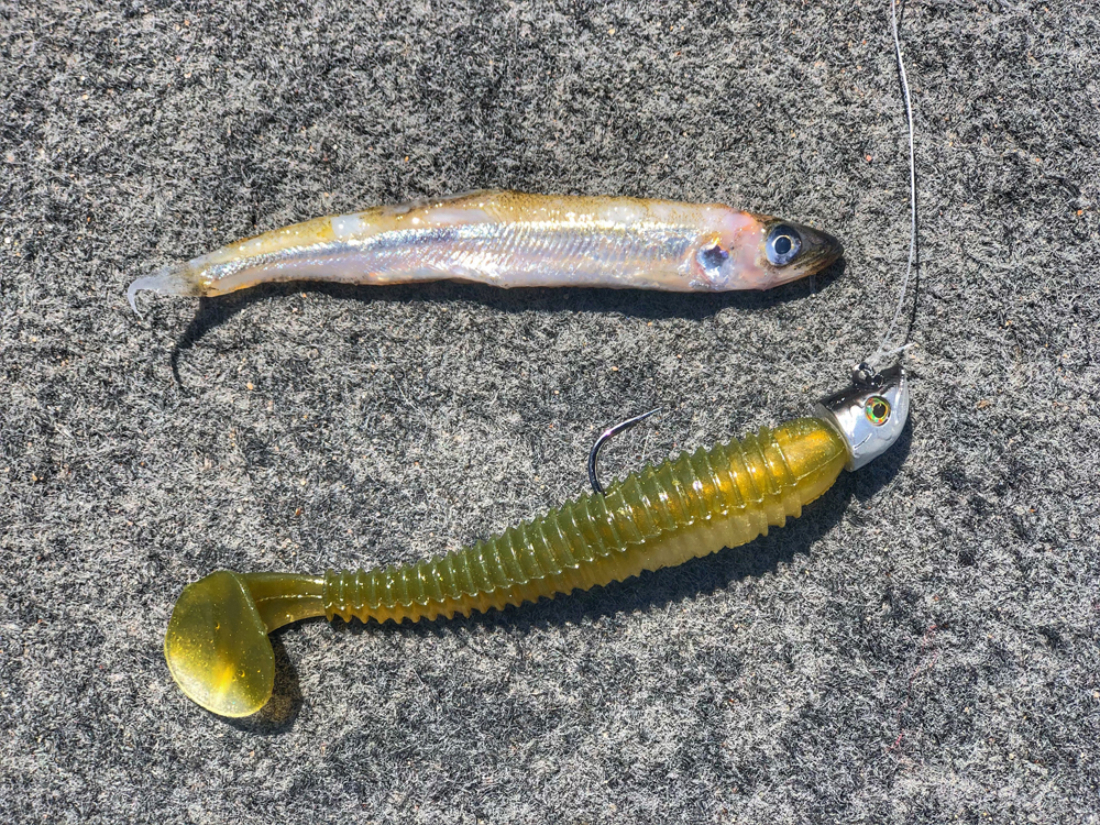 Flurry Ice Jig — DEAD END LURES