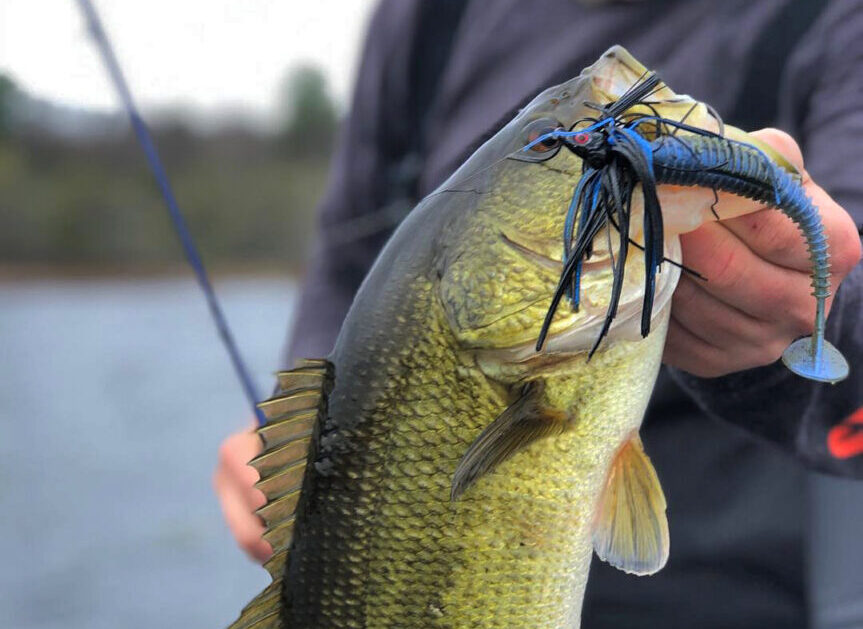 Use Blade Baits for Multi-Species Fishing Success