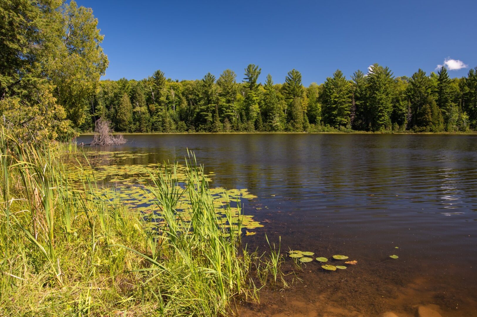 wisconsin-bass-fishing-guide-northwoods-bass-fishing-adventures